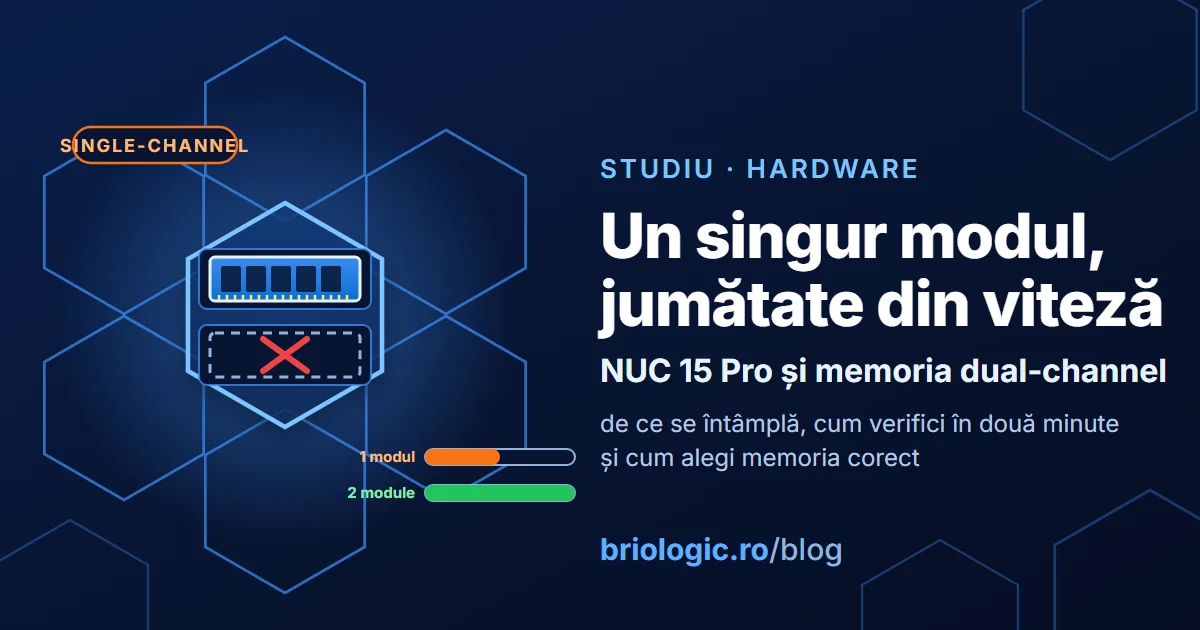 Două sloturi de memorie într-un hexagon, unul ocupat și unul gol marcat cu roșu, două bare de lățime de bandă, una pe jumătate și una plină, și titlul Un singur modul, jumătate din viteză